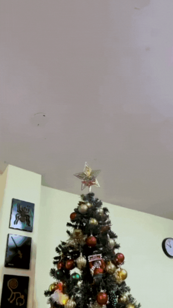 Luz Mágica de Navidad