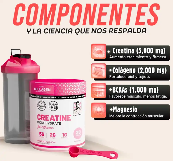 Energía y Rendimiento para Ellas